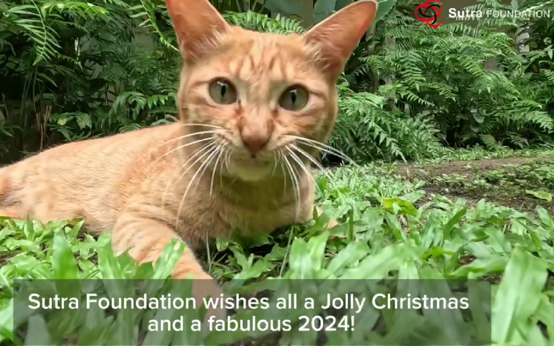 Sutra wishes all a Merry Christmas & Happy New Year!