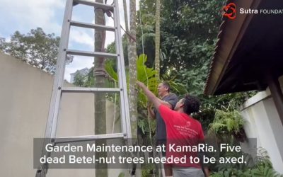 Garden Maintenance at KamaRia