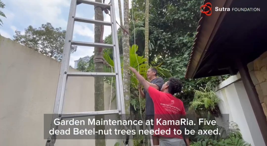 Garden Maintenance at KamaRia